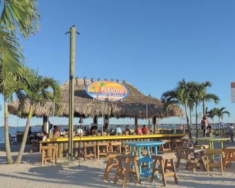 Paradise Grill Lagoon live beach camera